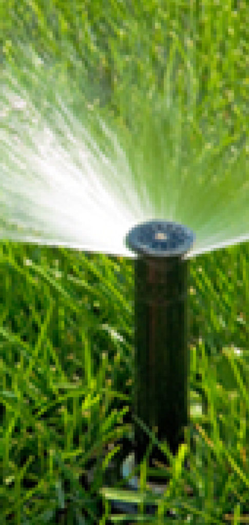 photo of sprinkler watering grass