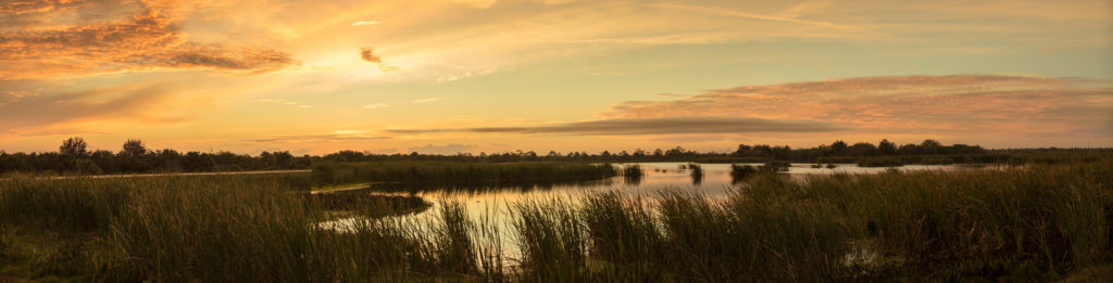 sun set photo of wetlands