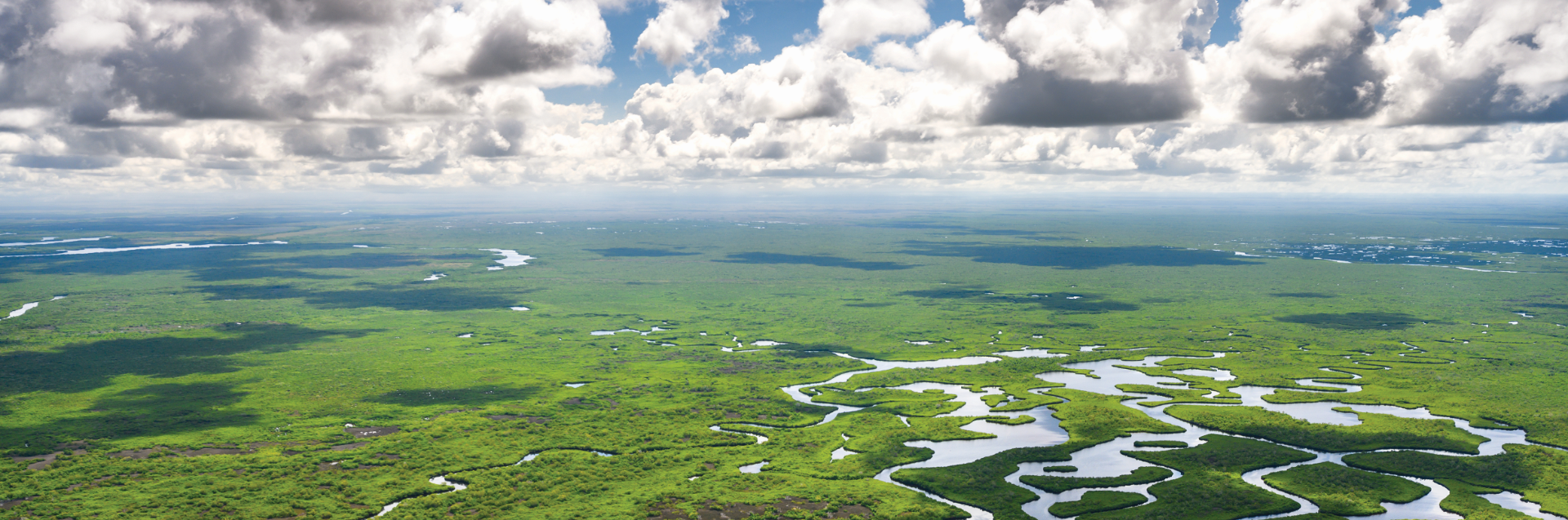 Aerial of Florida Everglades