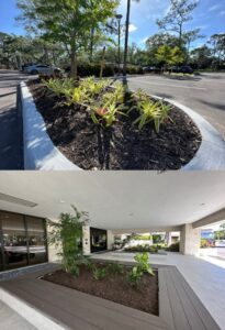 Refreshed landscaping at renovated BCC headquarters in Naples, FL