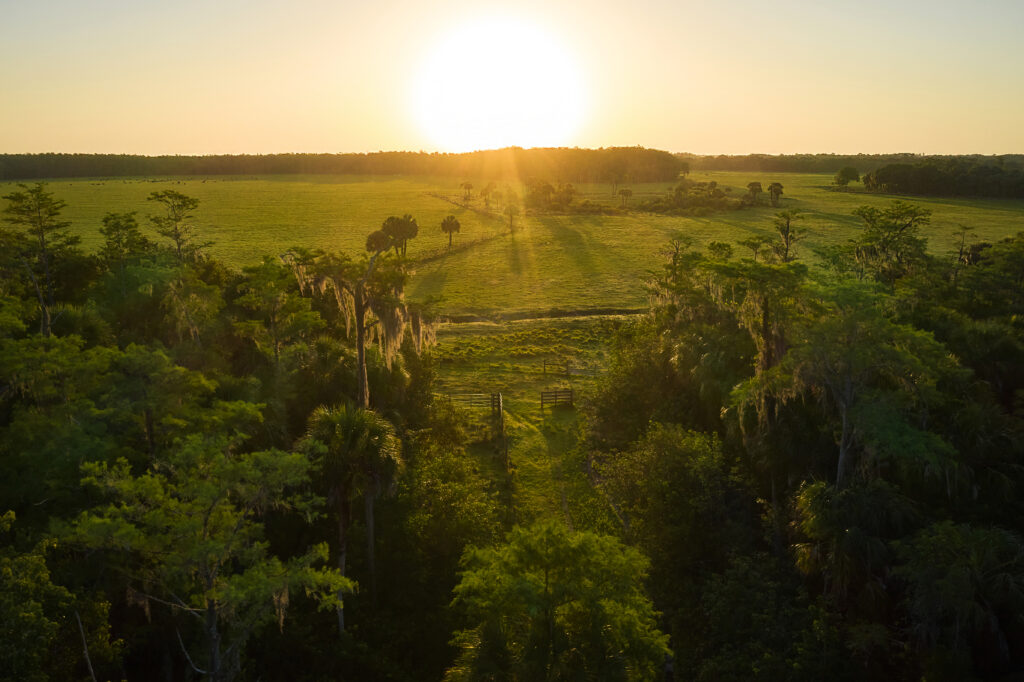 Aerial of Collier Rod & Gun Club